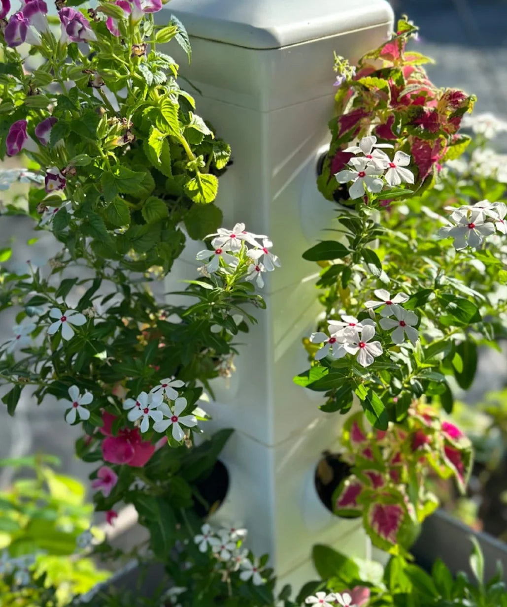 Hydroponic 20 Plant Tower Kit P8692