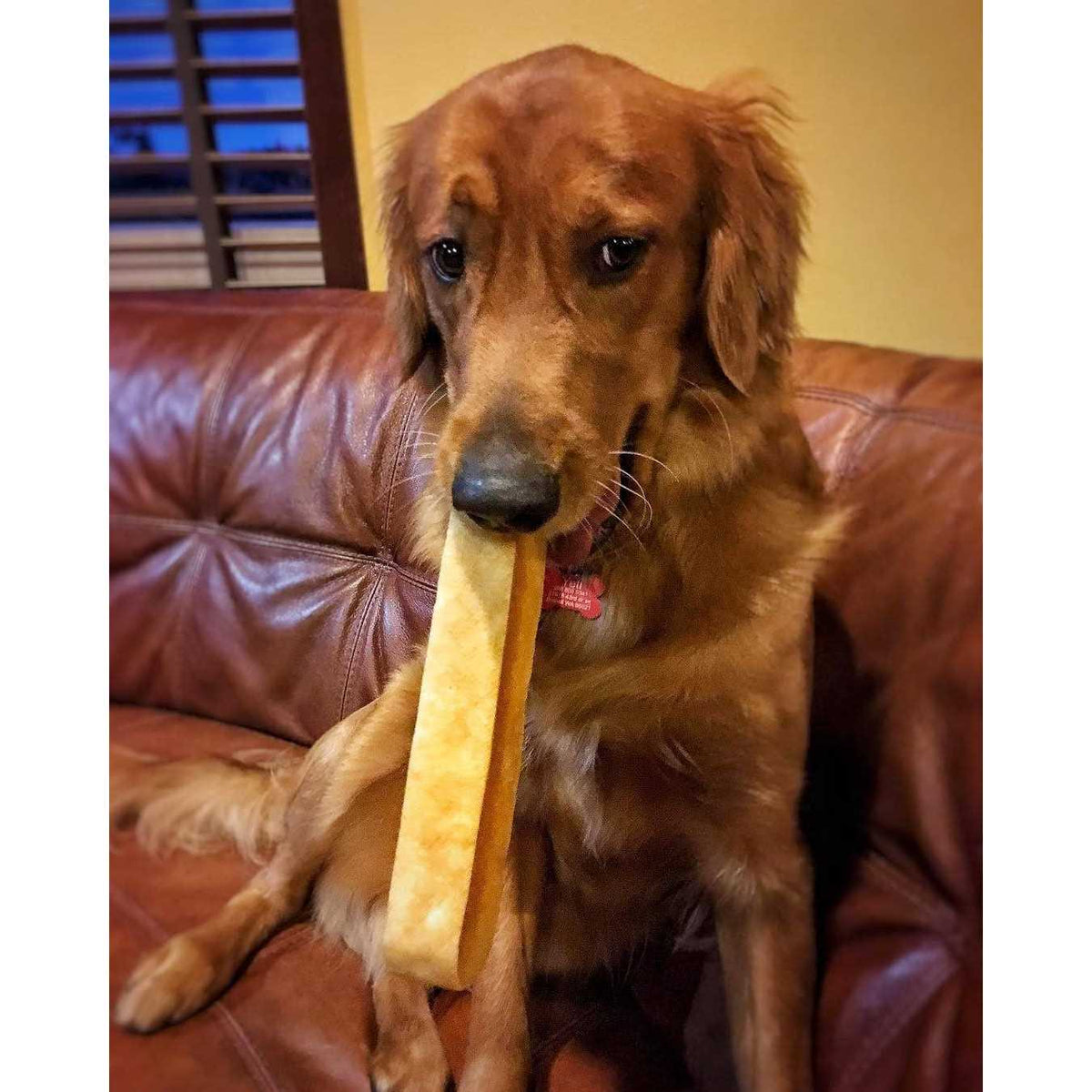 Dog Chew R2721