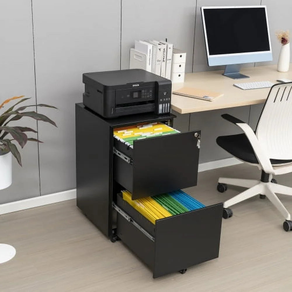 2 Drawer Black Mobile File Cabinet with Lock S948789