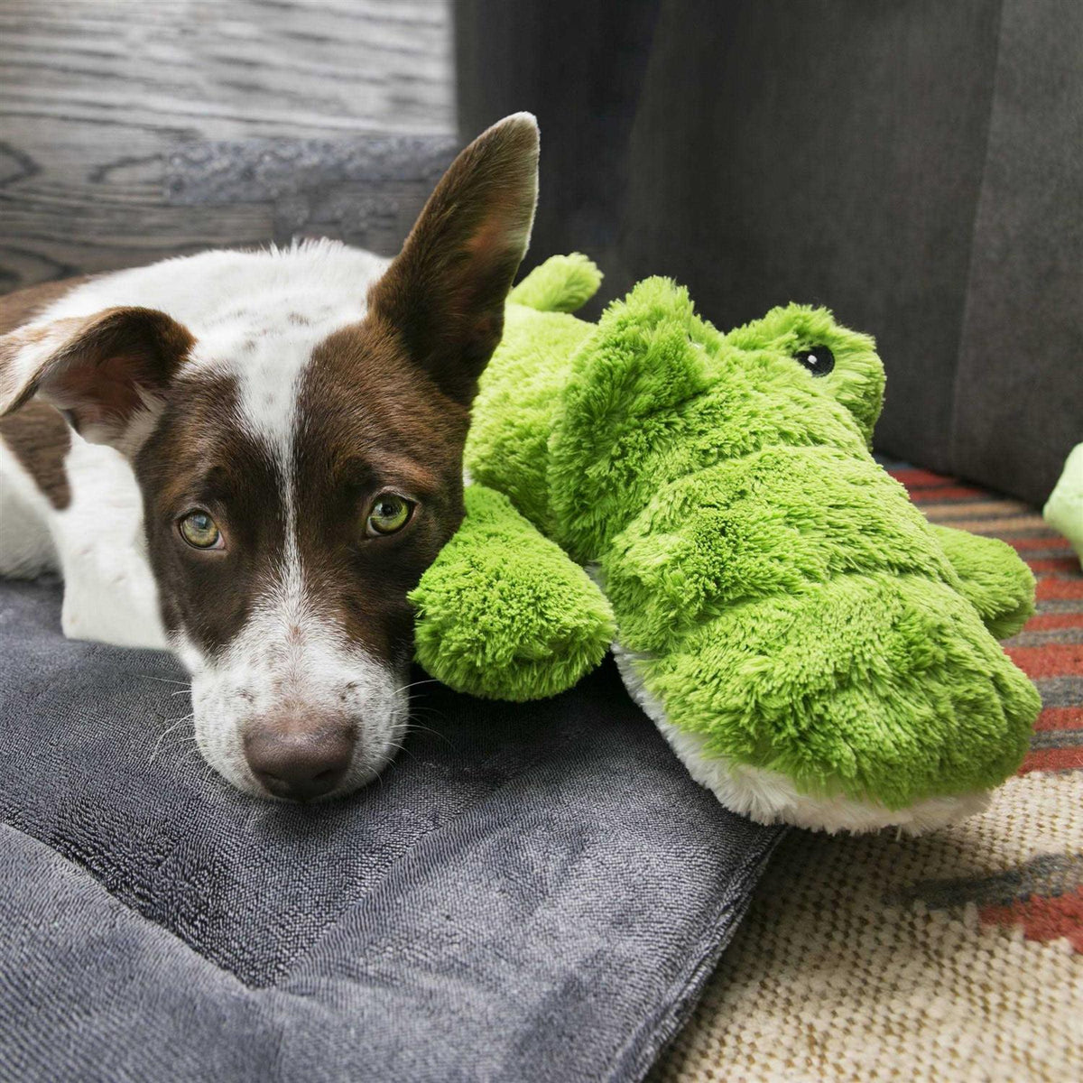 Alligator Dog Toy U131620