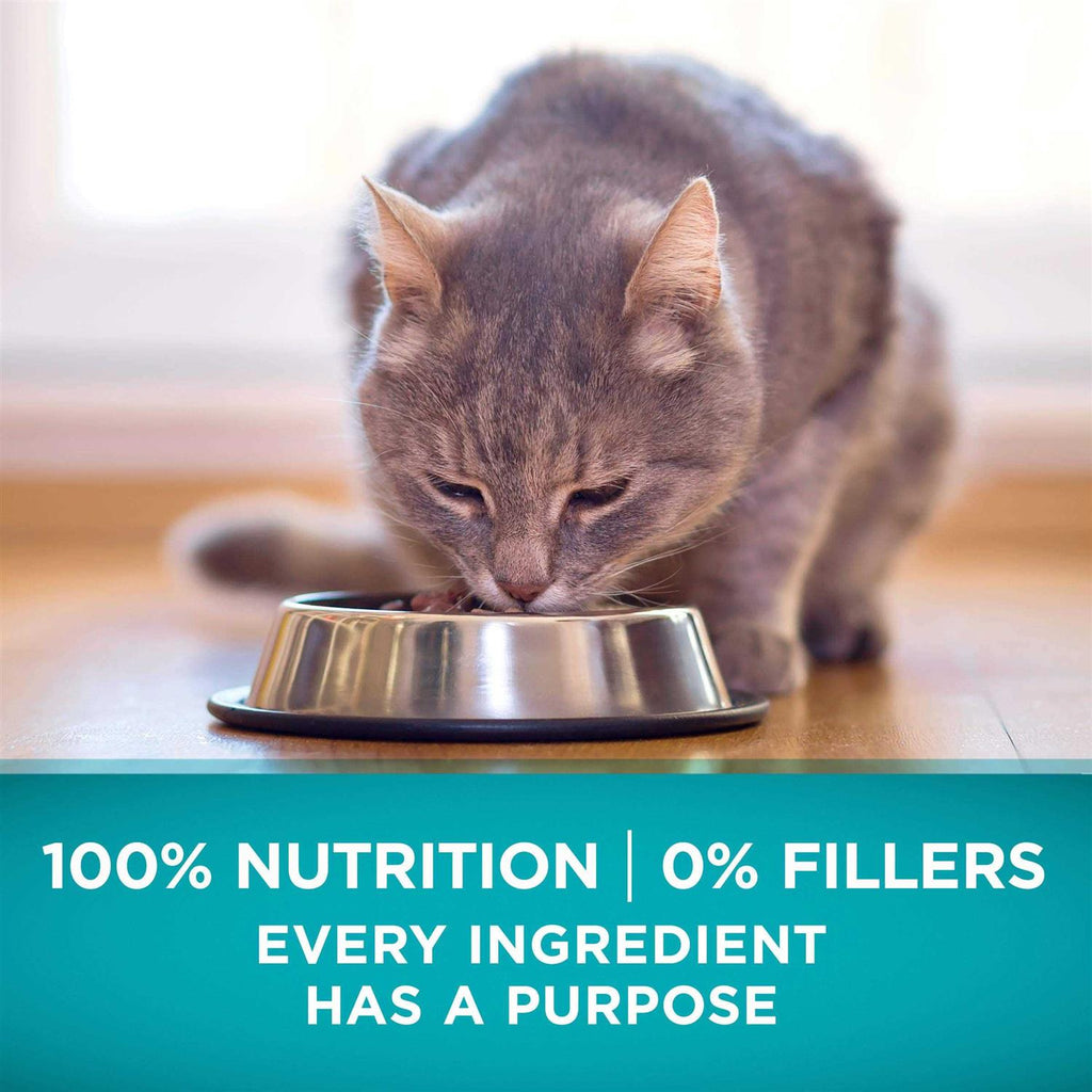 High Protein Grain Free Dry Cat Food A61556