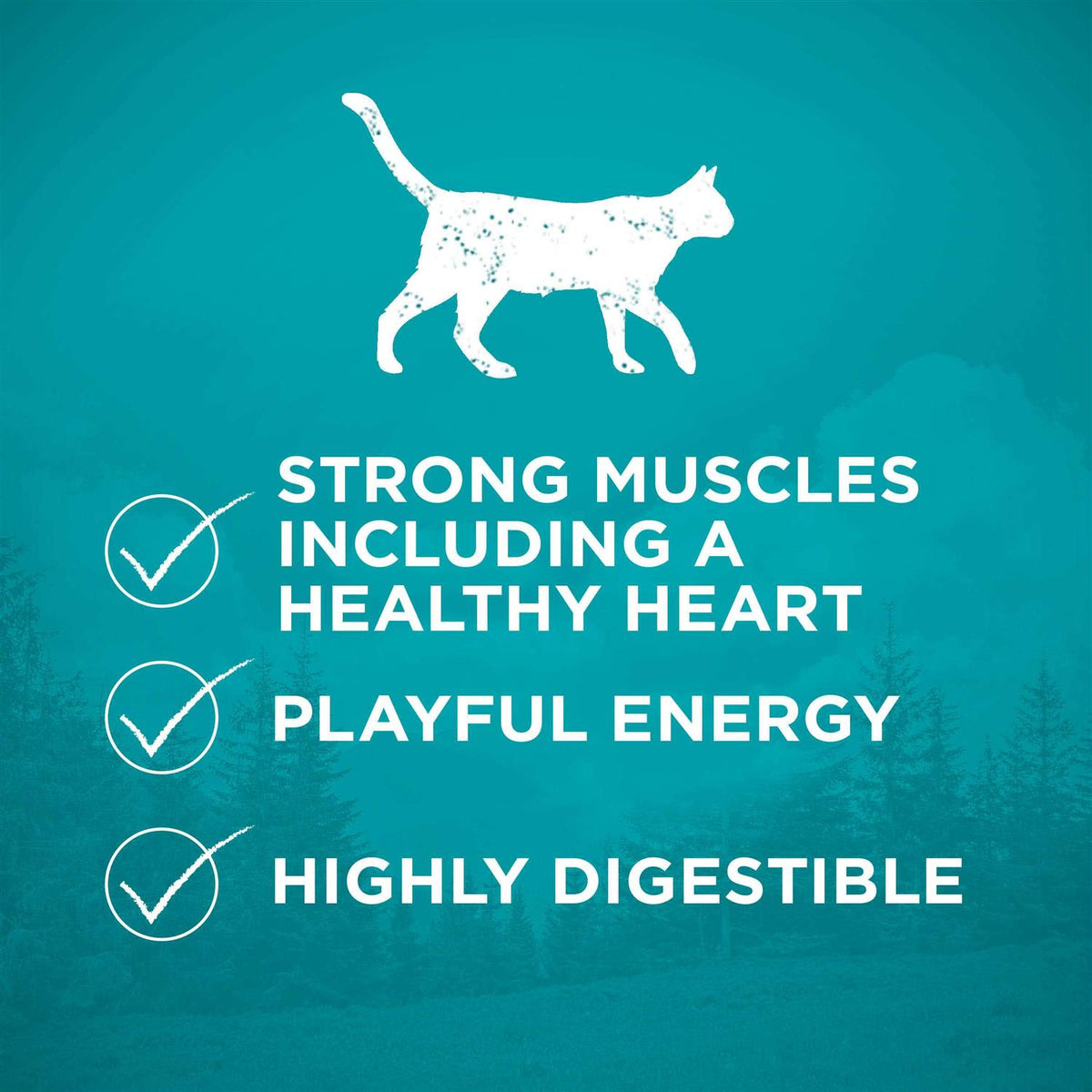 High Protein Grain Free Dry Cat Food A61556