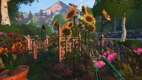 Cozy Simulator PS5 Q2981