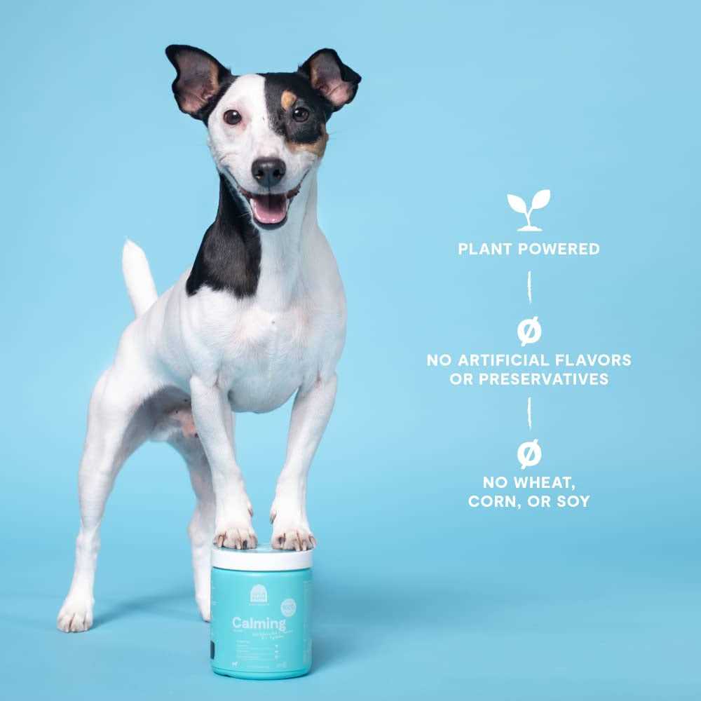 Calming Chews Dog Supplement H584571