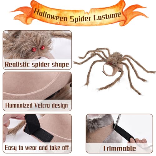 Dog Halloween Spider Costume with Adjustable Fasteners V2285