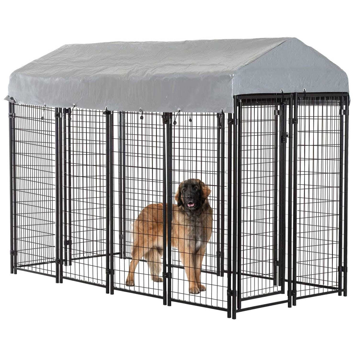 8 x 4 x 6 ft Heavy Duty Metal Dog Kennel Y289