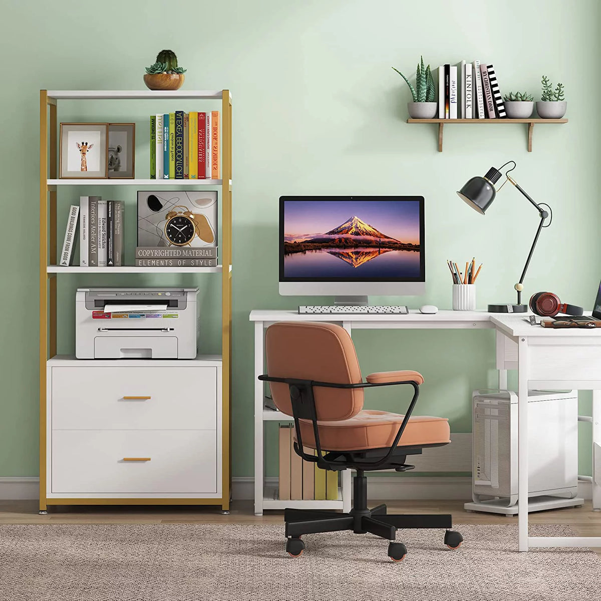 4-Tier Bookshelf with 2 Drawers Y3834