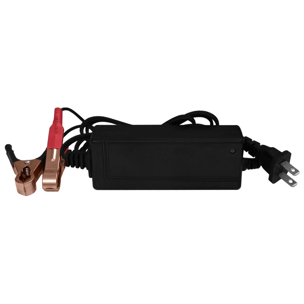 12V Battery with Charger I8199