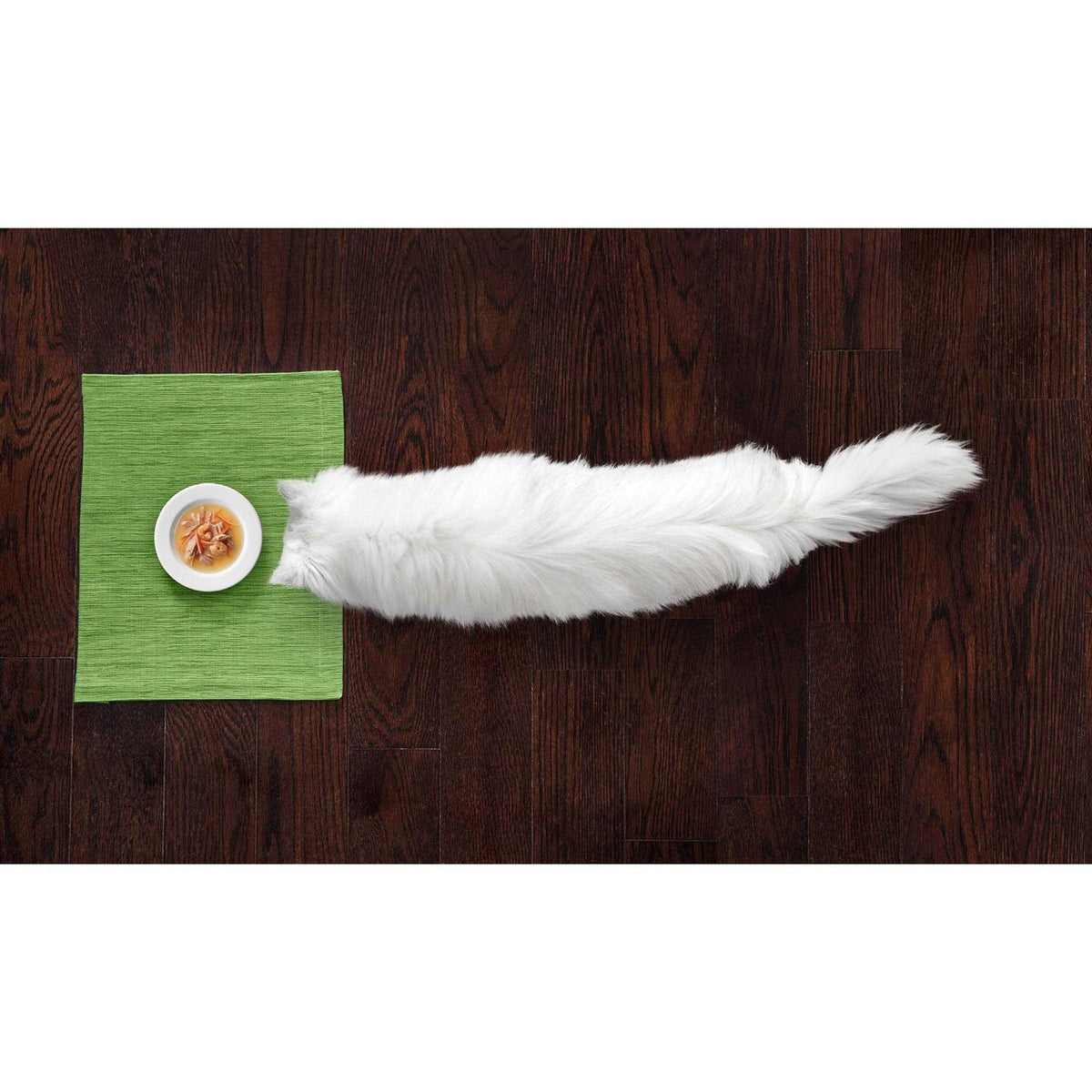 Cat Food Z612603