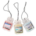 3-Pack Hanging Car Jar Air Fresheners I62770