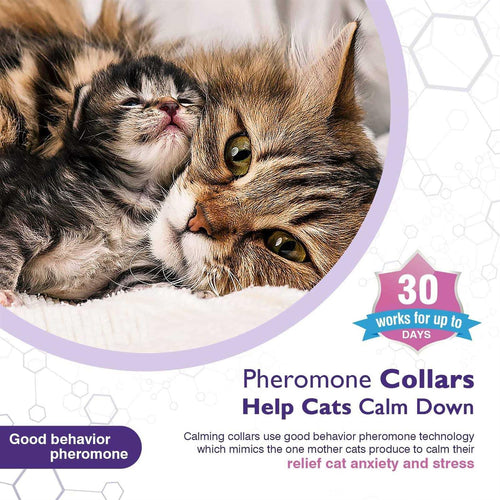 3 Pack Calming Collar D64663