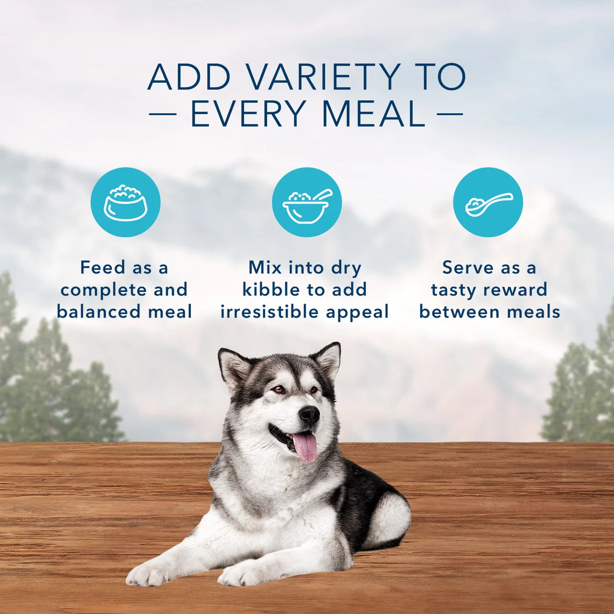 High Protein Duck and Chicken Grain-Free Wet Dog Food 12.5 oz. Cans E5075