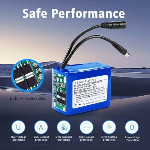 12V 6000mAh Rechargeable Lithium-Ion Battery Pack with Charger Y2460