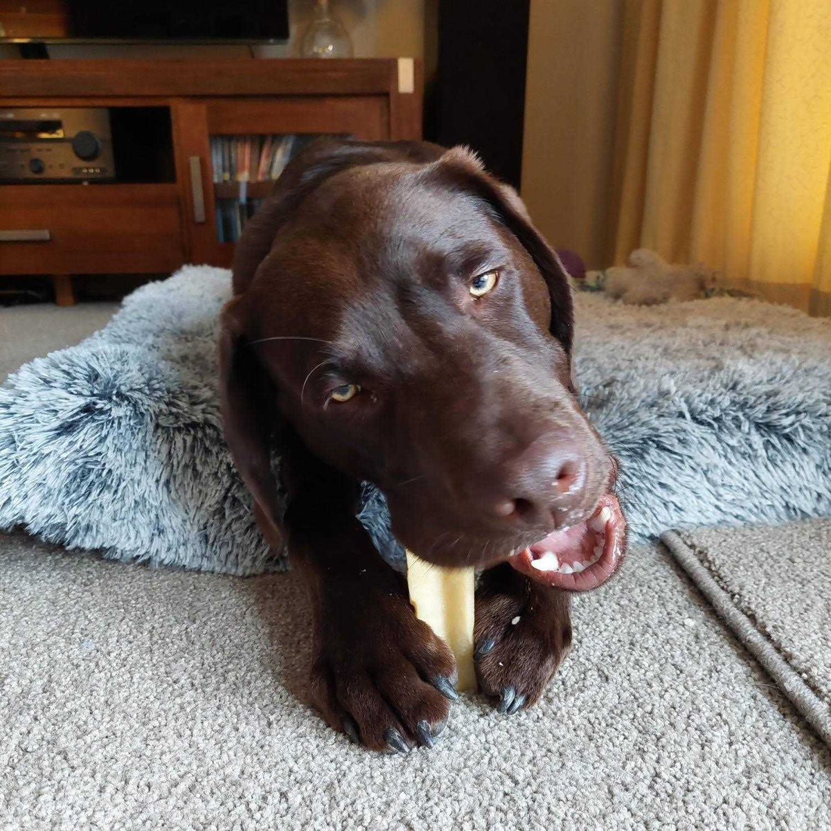 Dog Chew R2721
