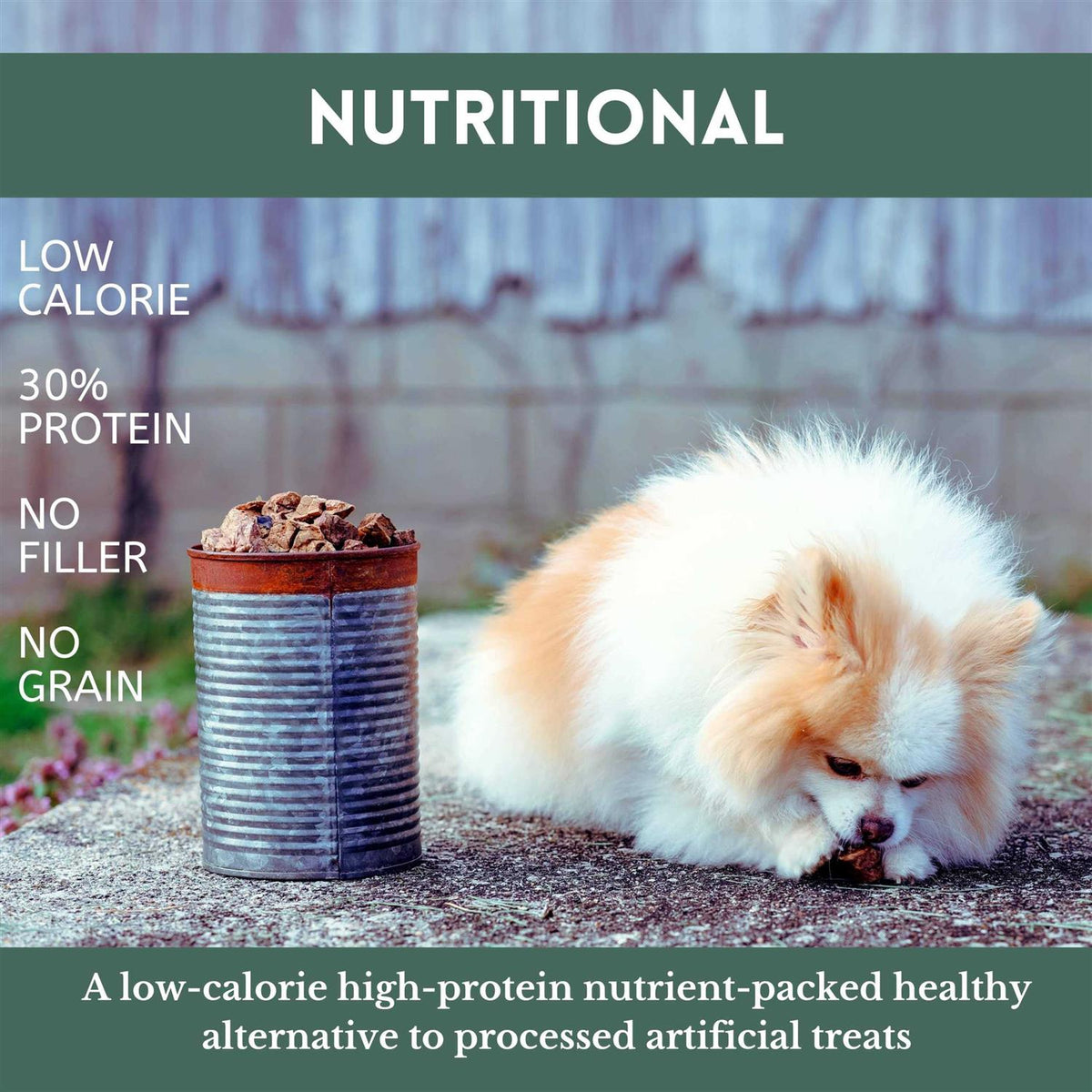Slow Roasted Beef Lung Bites Dog Treats B212968