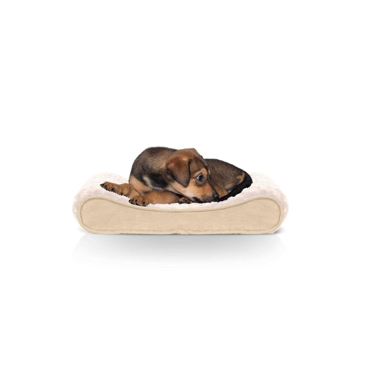 Plush Luxe Lounger Dog Bed P46662