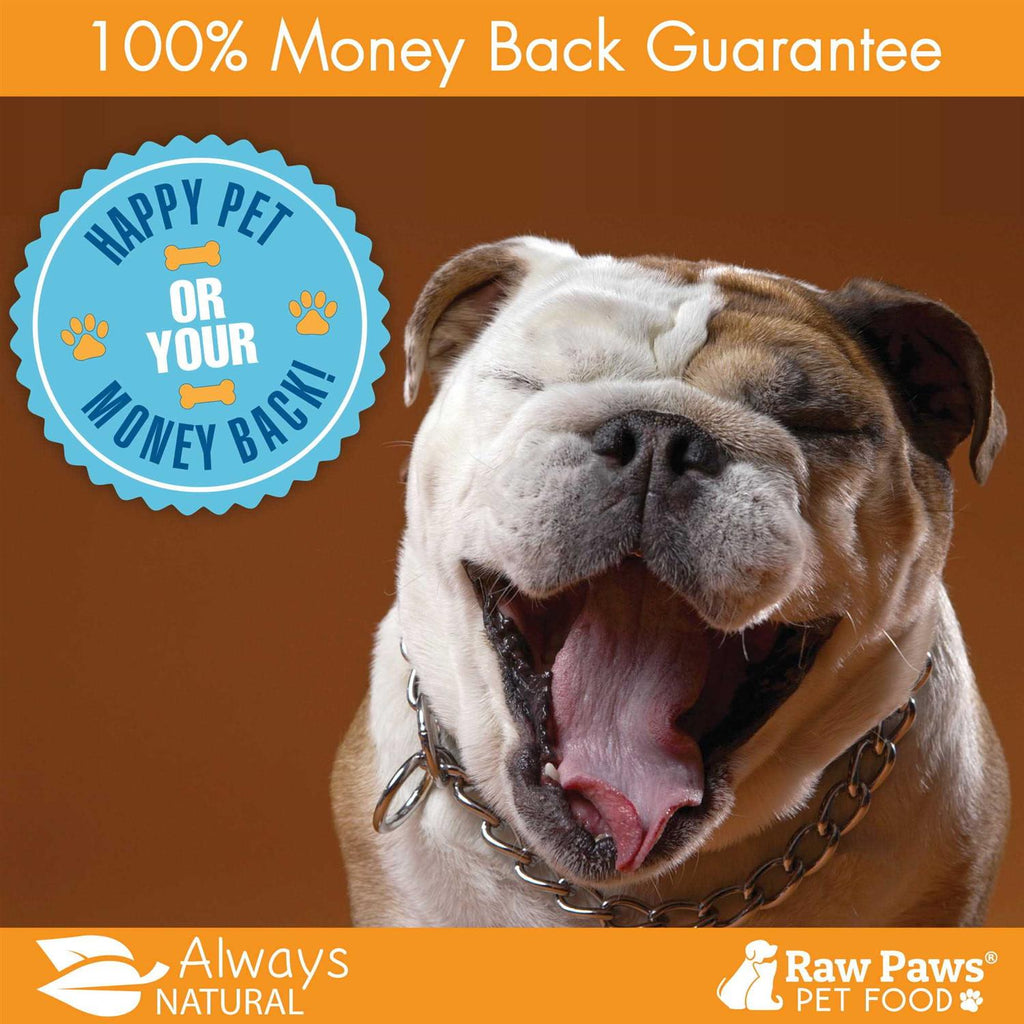 Organic Kelp for Dogs & Cats N2082