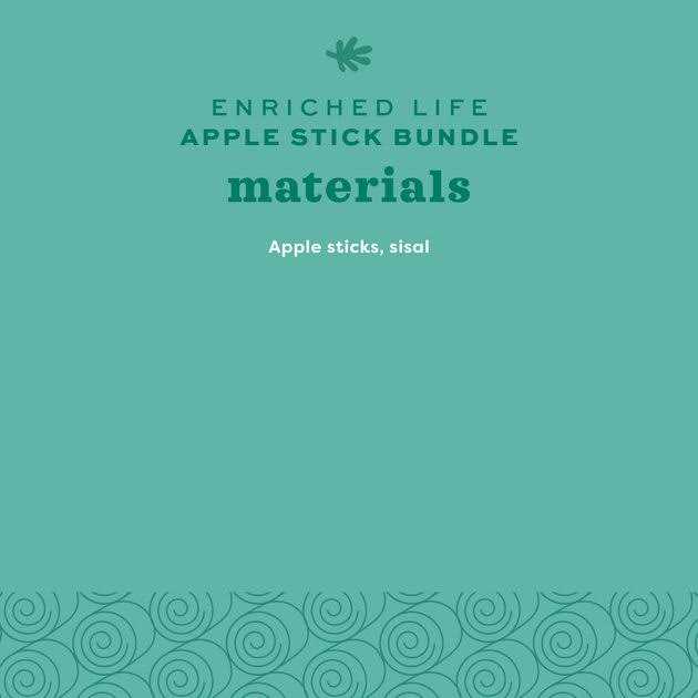 Apple Stick Bundle L90995