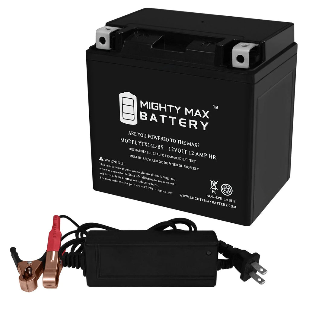 12V Battery with Charger I8199