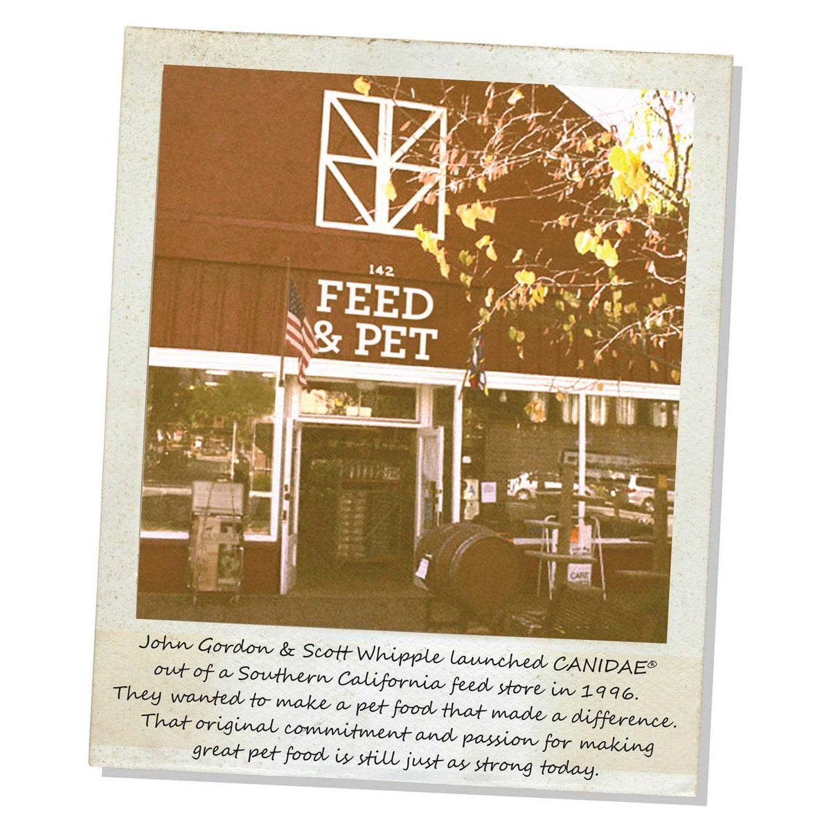 Grain-Free Salmon & Sweet Potato Dry Dog Food Q745364