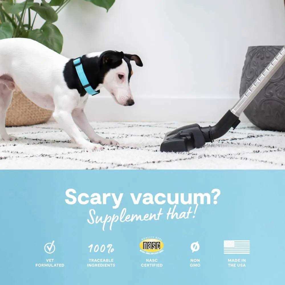 Calming Chews Dog Supplement H584571
