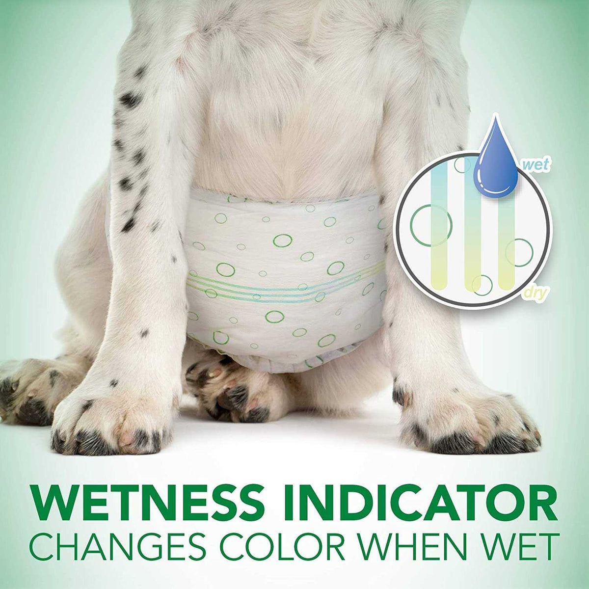 Disposable Male Dog Wraps Z693287