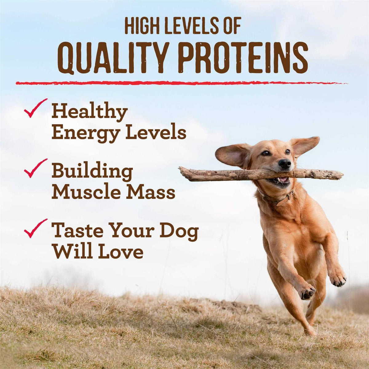 Grain Free Puppy Chicken Sweet Potato Recipe Dry Dog Food Q553