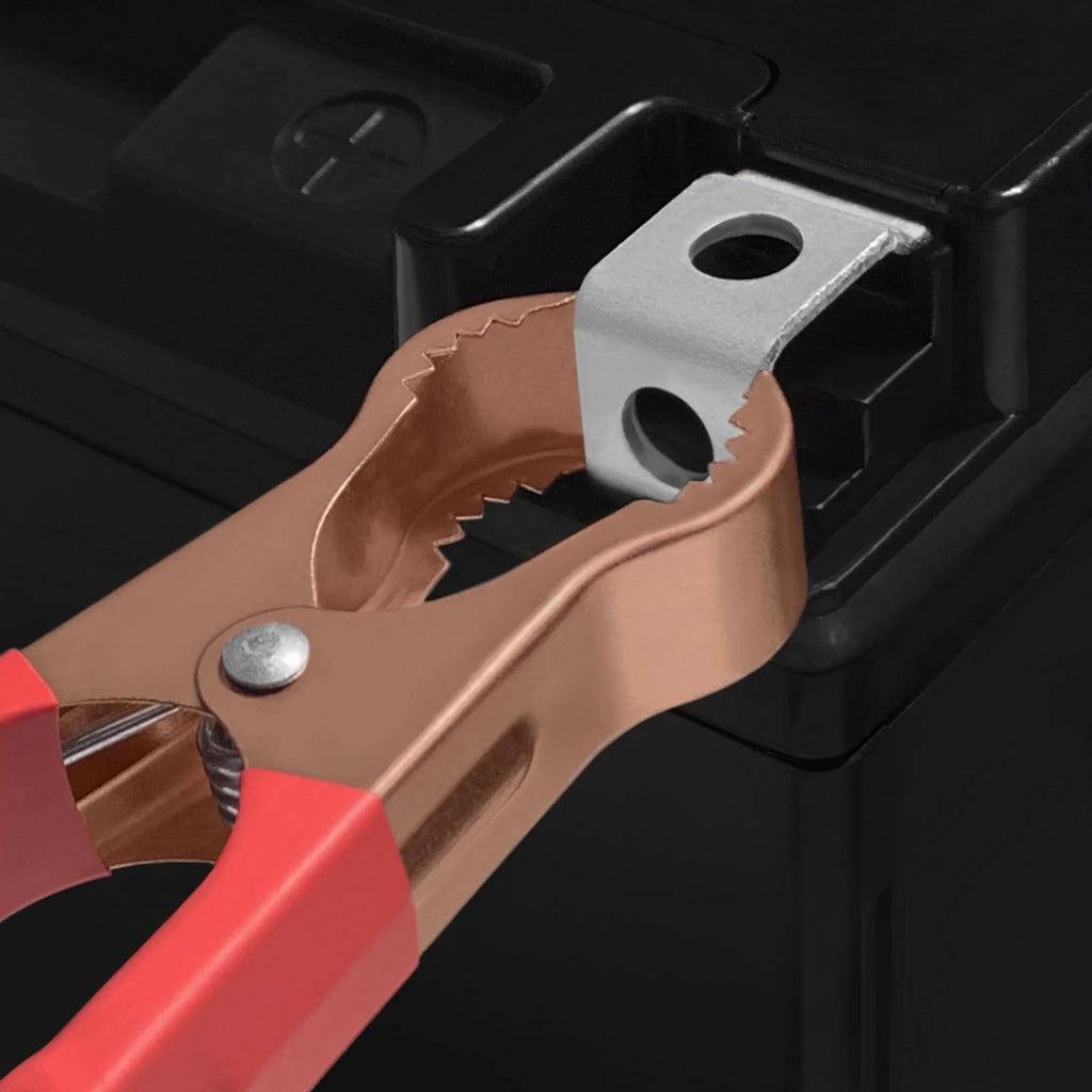12V Battery with Charger I8199