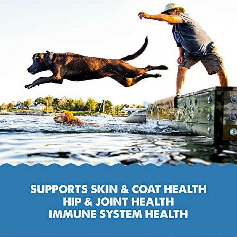 Liquid Omega-3 Supplement for Dogs P991859
