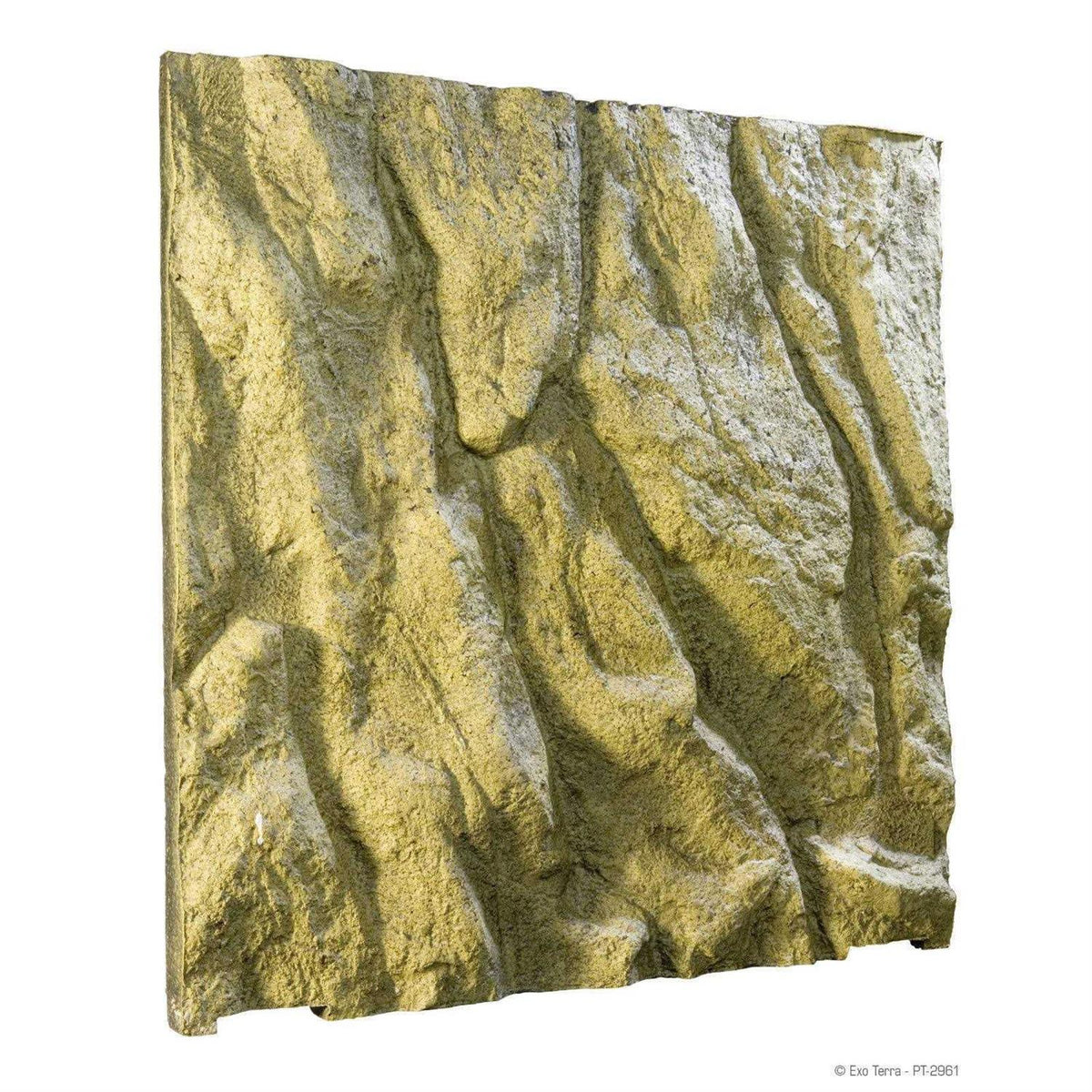 Foam Backgrounds Y628