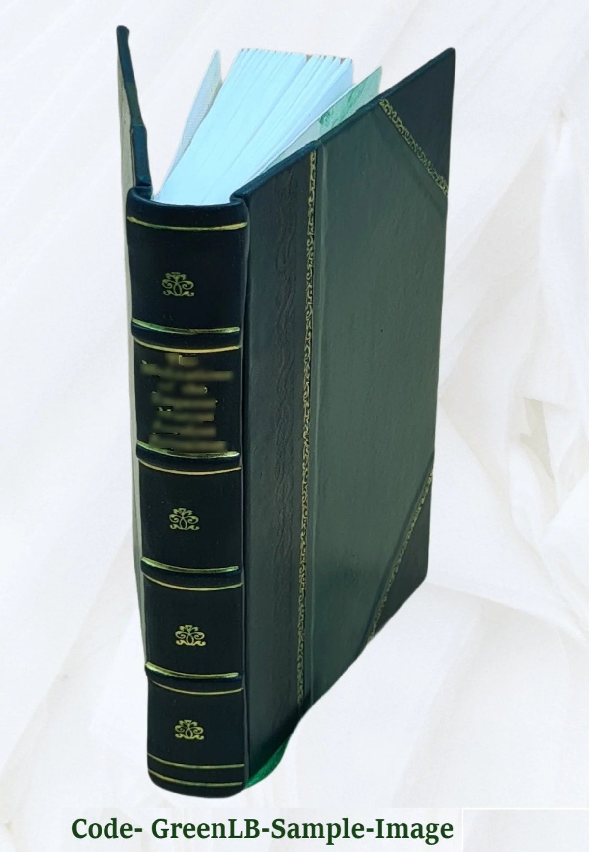 Leather Bound Poetry Collection T6601