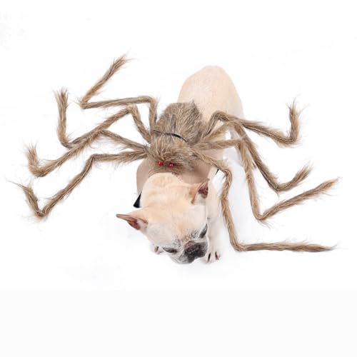 Dog Halloween Spider Costume with Adjustable Fasteners V2285