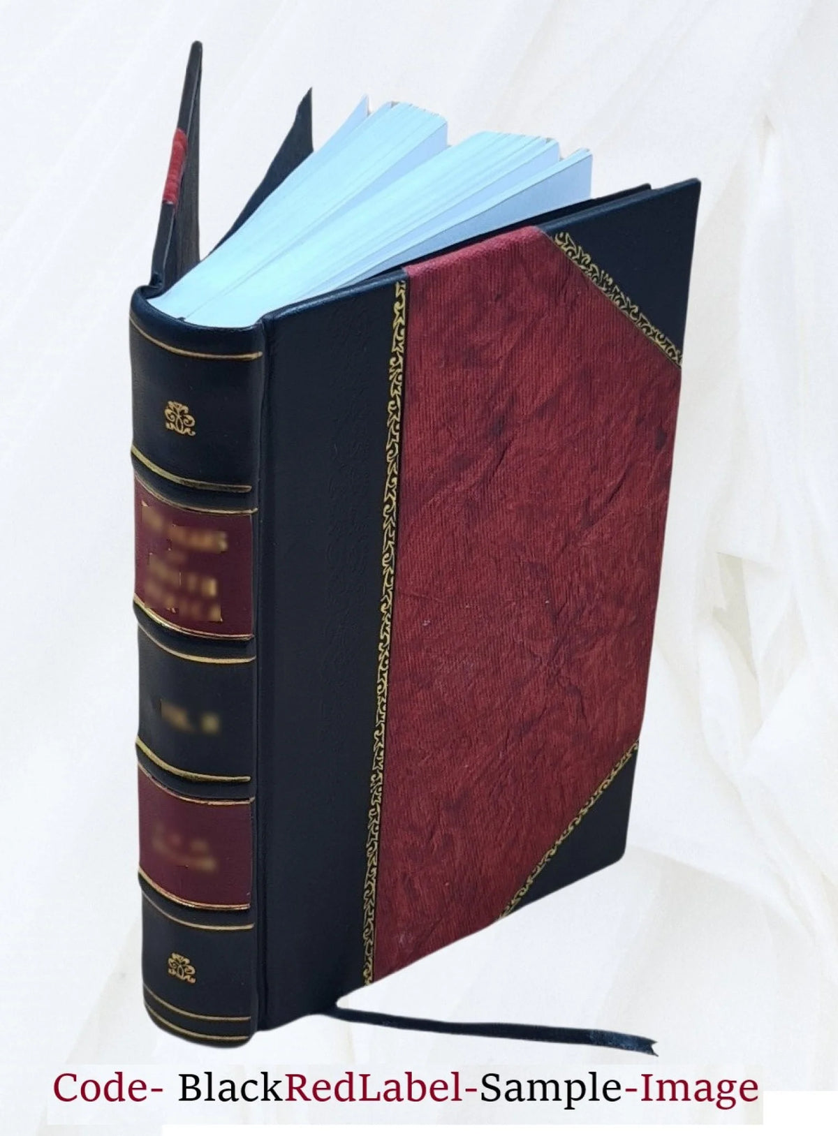 Leather Bound Book I188